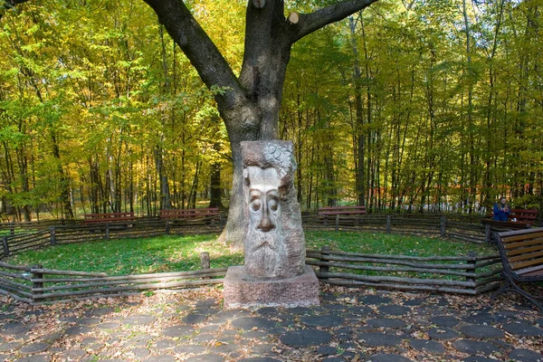 Scultura Legno Nel Parco Autunnale Bucha Ucraina — Foto Stock