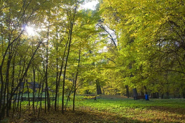 Jesienny Park Bucha Ukraina — Zdjęcie stockowe