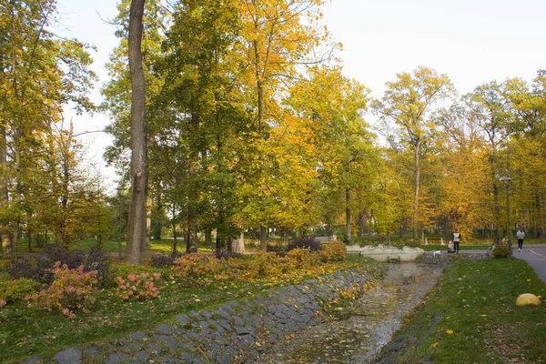 Parc Automne Bucha Ukraine — Photo