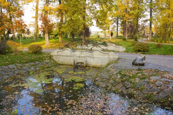 Parque Otoño Bucha Ucrania — Foto de Stock