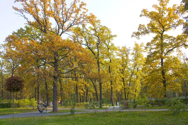 Herbstpark Bucha Ukraine — Stockfoto