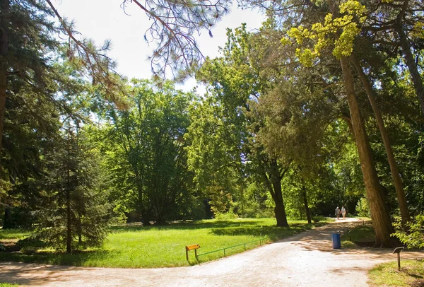 Ünlü Biyosfer rezervi Askania-Nova, Ukrayna