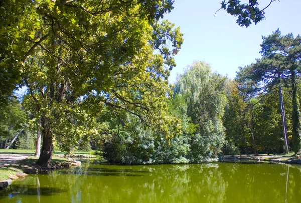 Lac Dans Réserve Nationale Askania Nova Ukraine — Photo