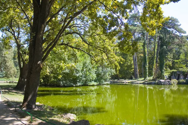 Lake National Reserve Askania Nova Ukrajina — Stock fotografie