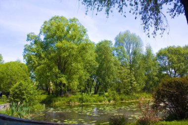 Ukrayna 'daki Radomysl Kalesi' ne yakın bir nehre park et.