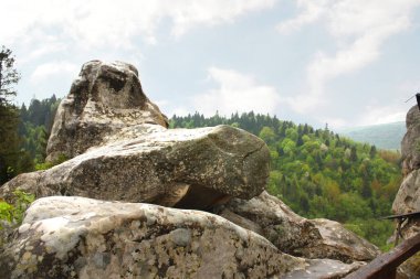 Urich, Karpatlar, Ukrayna 'daki Tustan Kalesi