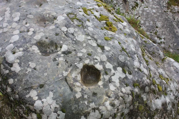 青苔中的石头的背景 — 图库照片