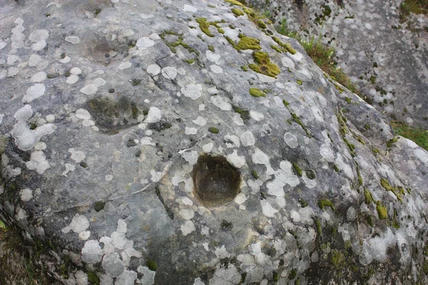 Fundo Pedra Musgo — Fotografia de Stock