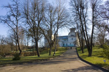 Lopukhin-Demidovs Sarayı Korsun-Shevchenkovsky, Ukrayna