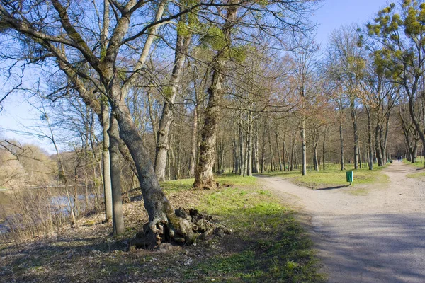 Park Pobliżu Pałacu Łopuchina Demidowa Korsuniu Szewczenkowskim Ukraina — Zdjęcie stockowe