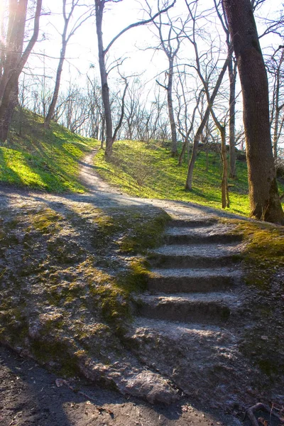 ウクライナのKorsun ShevchenkowskyのLopukhin Demidovs宮殿近くの公園の星の風景 — ストック写真