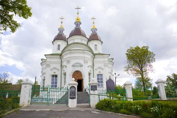 Kathedrale Von Anthony Und Theodosius Vasylkiv Ukraine — Stockfoto
