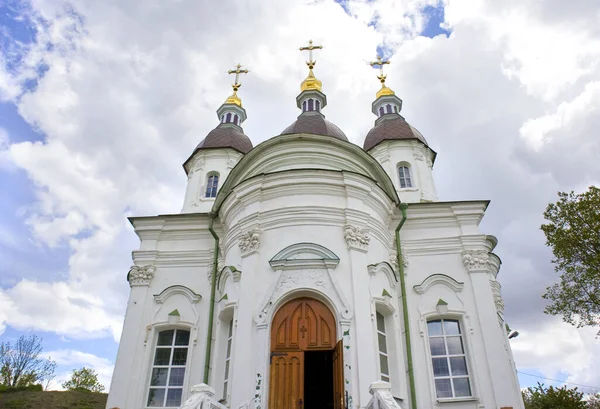 Kathedraal Van Anthony Theodosius Vasylkiv Oekraïne — Stockfoto