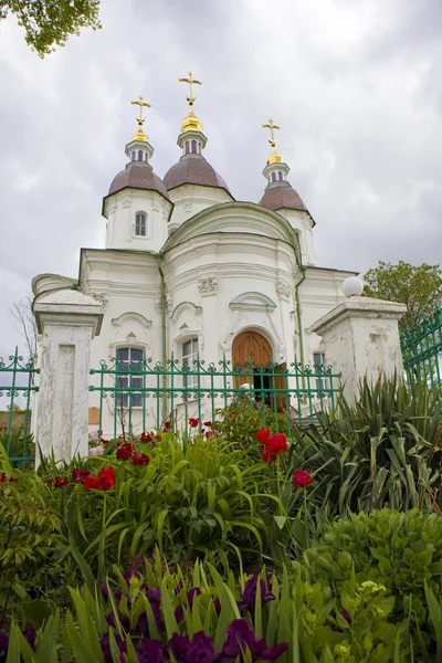 Собор Антония Феодосия Василькове Украина — стоковое фото