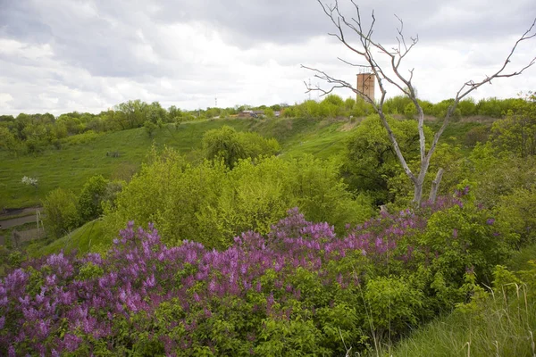 Panorama Vasylkiv Stad Från Ormens Bulwark Ukraina — Stockfoto