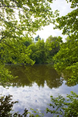 Ukrayna 'nın Kyiv kentindeki Kitaevo' da Goloseevsky oranları