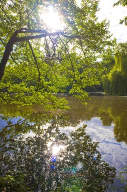 Ukrayna 'nın Kyiv kentindeki Kitaevo' da Goloseevsky oranları