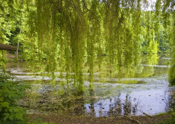 Голосеевский Курс Китаево Киеве Украина — стоковое фото