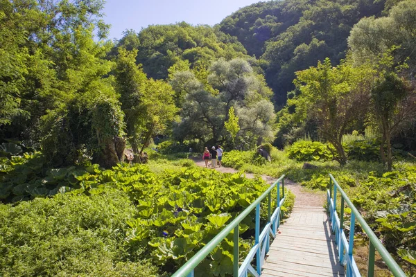 Nationaal Park Het Blauwe Oog Albanië — Stockfoto