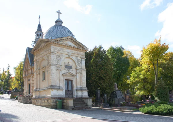 Некрополь на Lycakovskoe цвинтарі у Львові — стокове фото