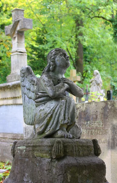 在利沃夫 Lycakovskoe 公墓的墓碑 — 图库照片