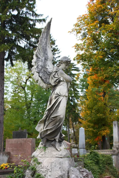 Mezar taşı Lycakovskoe mezarlığı Lviv üzerinde — Stok fotoğraf