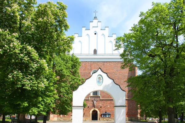 Kirche St. Bartholomäus in Drohobytsch, Ukraine — Stockfoto