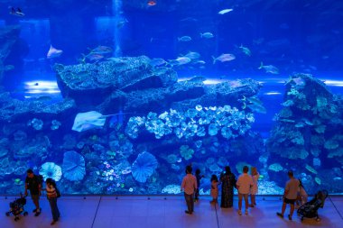 Dubai Akvaryumu (Sualtı Hayvanat Bahçesi) Dubai AVM, BAE