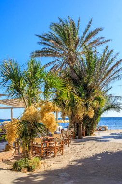 Sokak kafede Alghero, Sardunya, İtalya