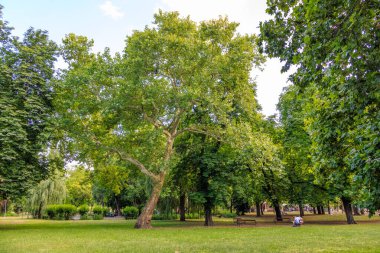 Macaristan, Budapeşte 'de yaz mevsiminde Şehir Parkı