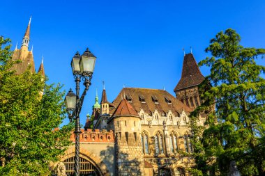 Macaristan, Budapeşte 'de güneşli bir günde Vajdahunyad Şatosu