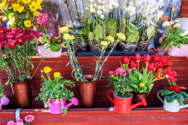 Satılık bahar çiçeklerinin manzarasını kapat