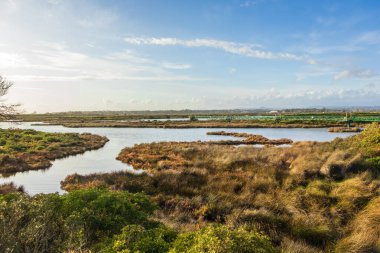 Faro, Algarve, Portekiz 'deki Ria Formosa Doğal Parkı
