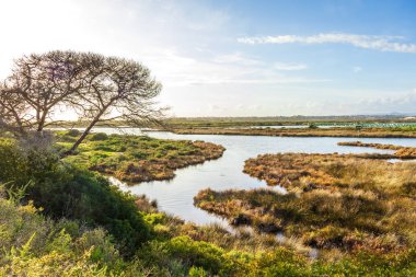Faro, Algarve, Portekiz 'deki Ria Formosa Doğal Parkı