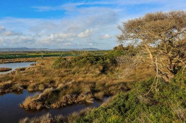 Faro, Algarve, Portekiz 'deki Ria Formosa Doğal Parkı