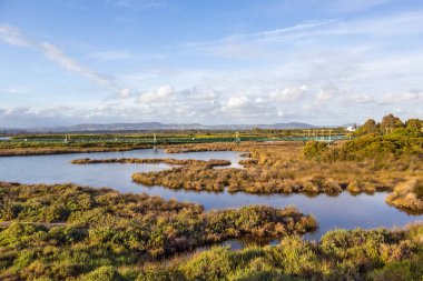 Faro, Algarve, Portekiz 'deki Ria Formosa Doğal Parkı