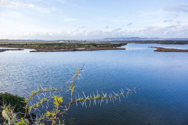 Faro, Algarve, Portekiz 'deki Ria Formosa Doğal Parkı