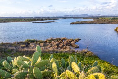 Faro, Algarve, Portekiz 'deki Ria Formosa Doğal Parkı