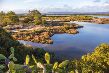 Faro, Algarve, Portekiz 'deki Ria Formosa Doğal Parkı