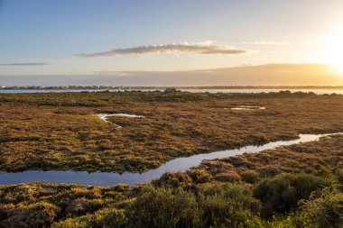Faro, Algarve, Portekiz 'deki Ria Formosa Doğal Parkı