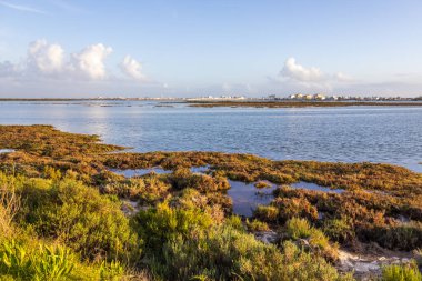 Faro, Algarve, Portekiz 'deki Ria Formosa Doğal Parkı