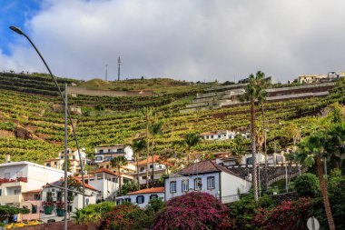 Portekiz, Madeira 'da bulutlu bir günde Camara de Lobos köyünün panoraması