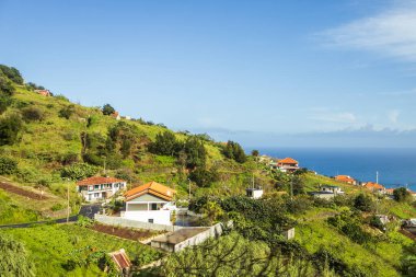 Santana, Madeira, Portekiz 'de okyanuslu Panorama