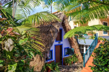 Santana, Madeira, Portekiz 'deki tipik ahşap ev manzarası