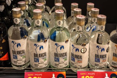 Portekiz 'de şişe şişe cin satan raf dükkânı manzarası