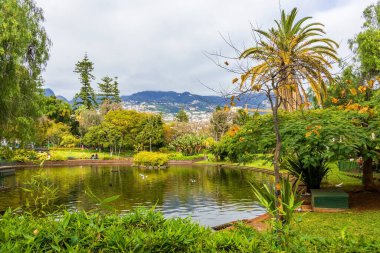 Funchal, Madeira, Portekiz 'deki Santa Catarina Parkı