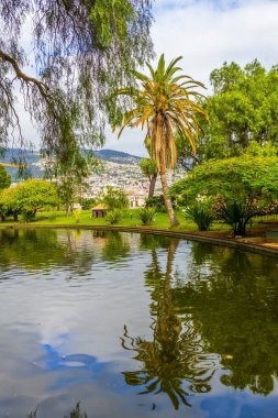Funchal, Madeira, Portekiz 'deki Santa Catarina Parkı