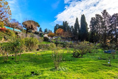 Gül Bahçesi Floransa, İtalya 'da güneşli bir günde