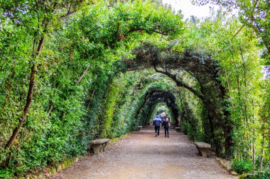 Floransa, İtalya 'da güneşli bir günde Boboli Bahçelerinde Botanik Bahçesi