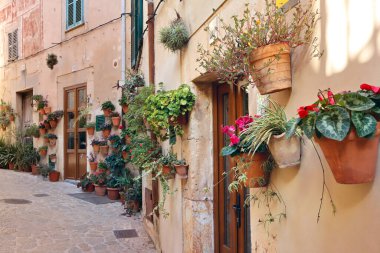 Valldemossa, Balear Adaları, İspanya 'da çiçek saksılarıyla dolu dar bir sokak.